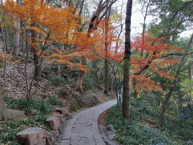 杭州周边赏秋好去处,杭州赏秋最佳攻略