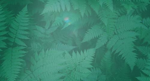 2023年高校毕业生就业创业扶持政策清单