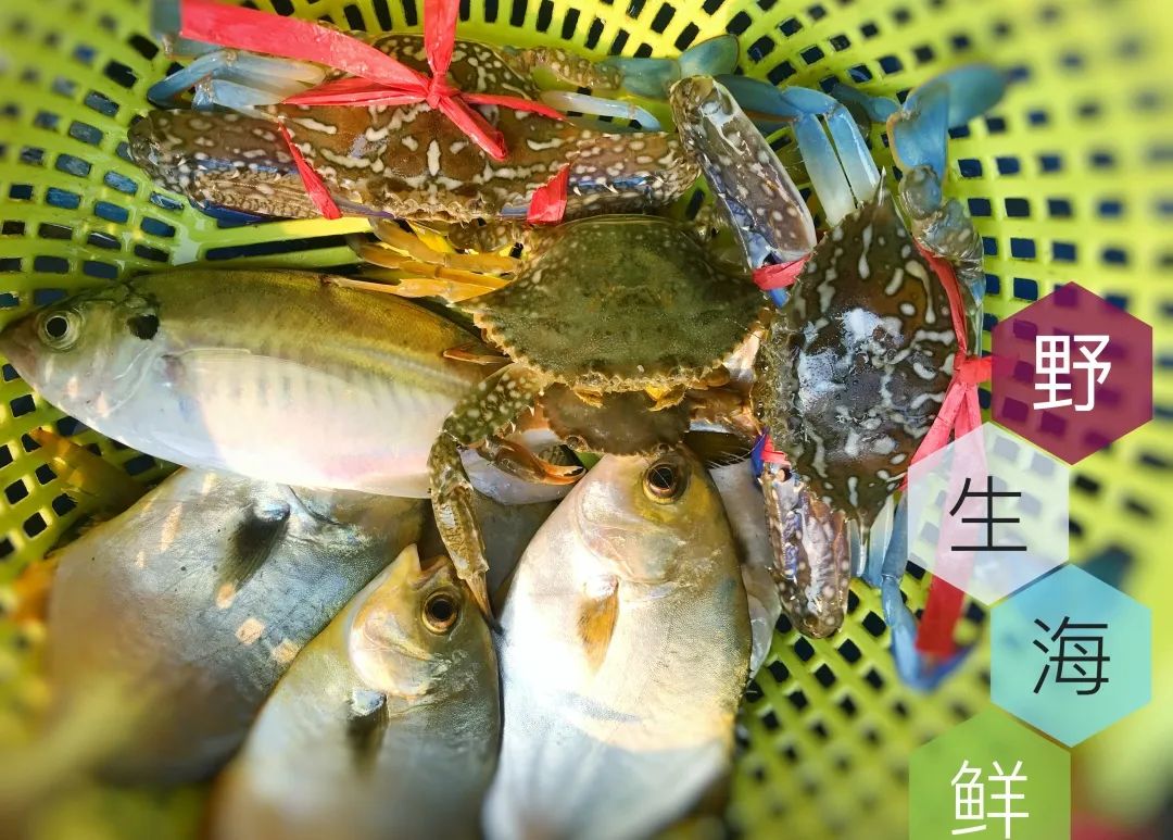 最新海南环岛旅游路线攻略,海南岛自驾性价比最高旅游攻略