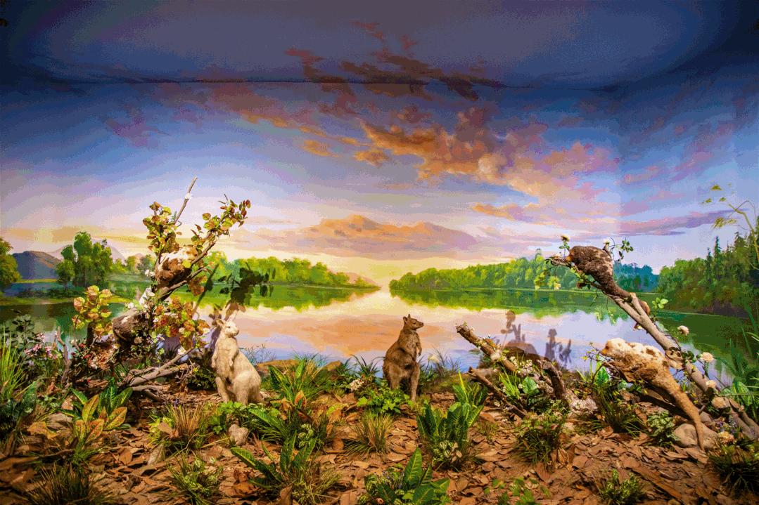 欧乐堡海洋极地公园攻略,欧乐堡最全游玩攻略请收好