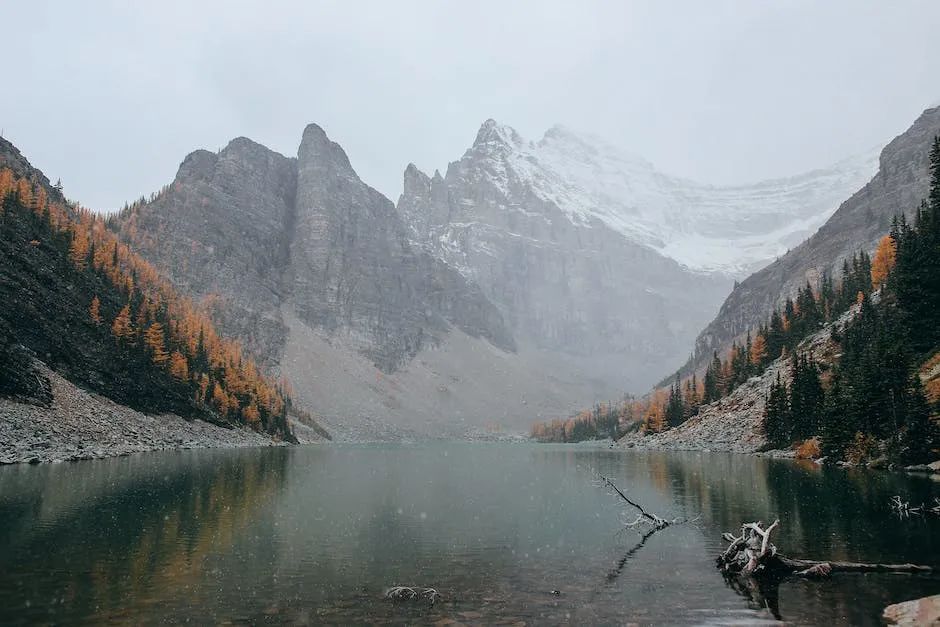 十大最强飞花令花字7句诗,100句最美飞花令