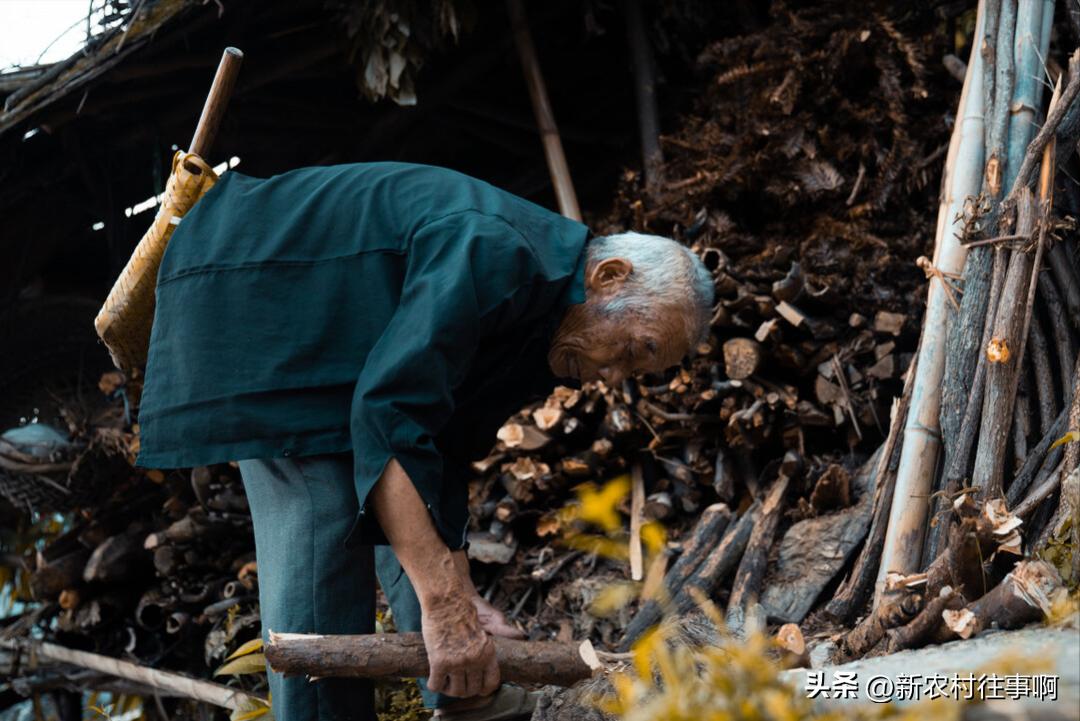 养老在城市好还是回农村老家好,老了适合回农村老家养老吗