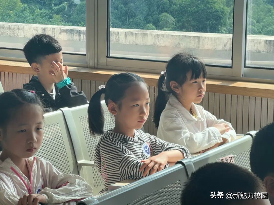 幼儿园大班参观小学活动,剑桥幼儿园参观小学活动