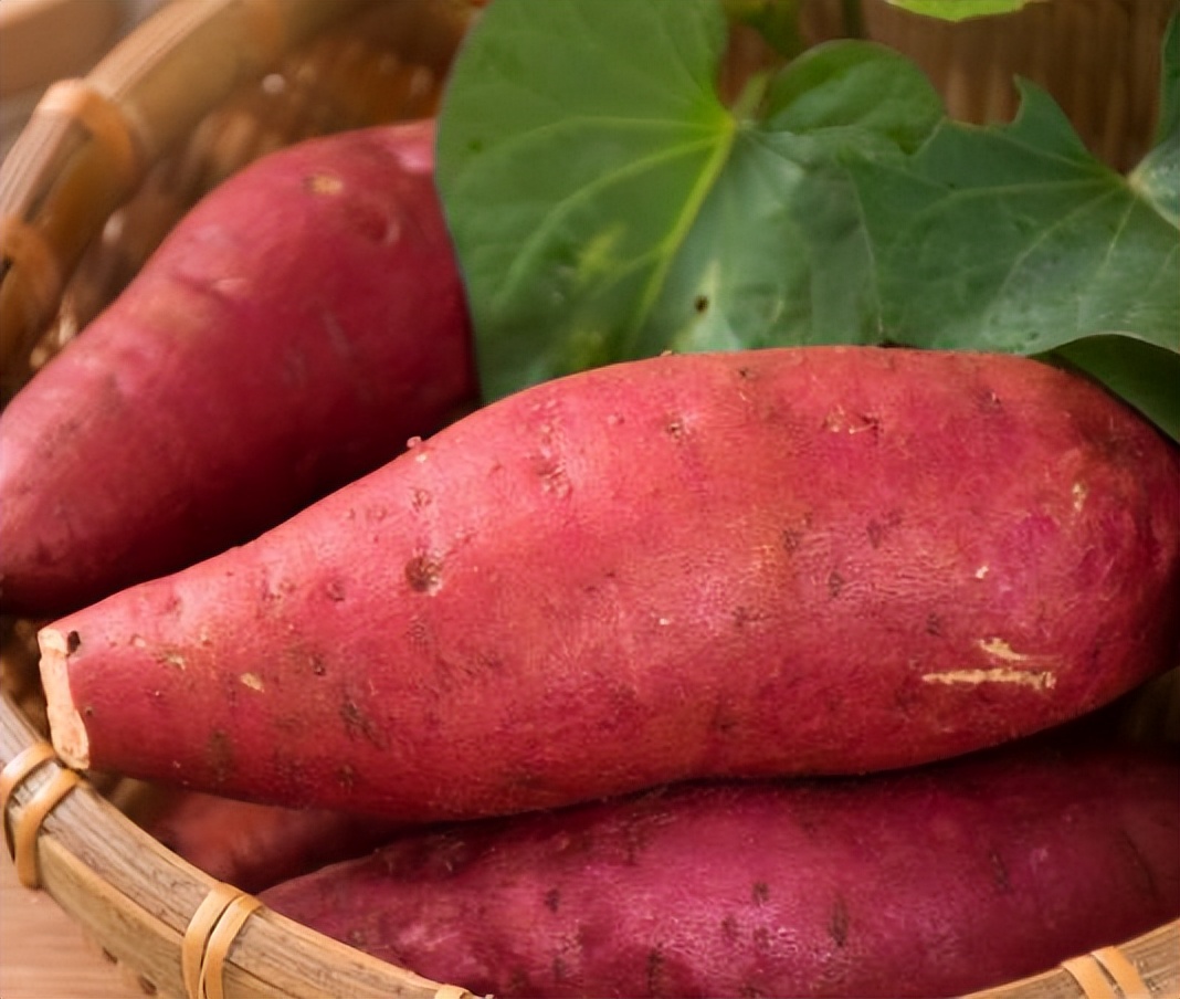 身高150的女性体重标准表,女生身高150体重120参照图