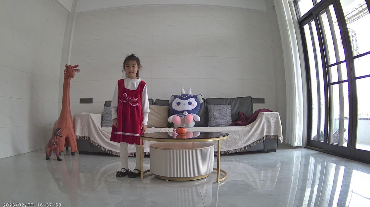 海雀x8pro和pro4k怎么选,海雀摄像头pro和x8pro