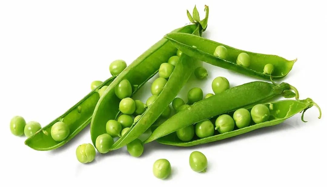 浙江人常吃的蔬菜有哪些,幼儿园常吃的蔬菜有哪些