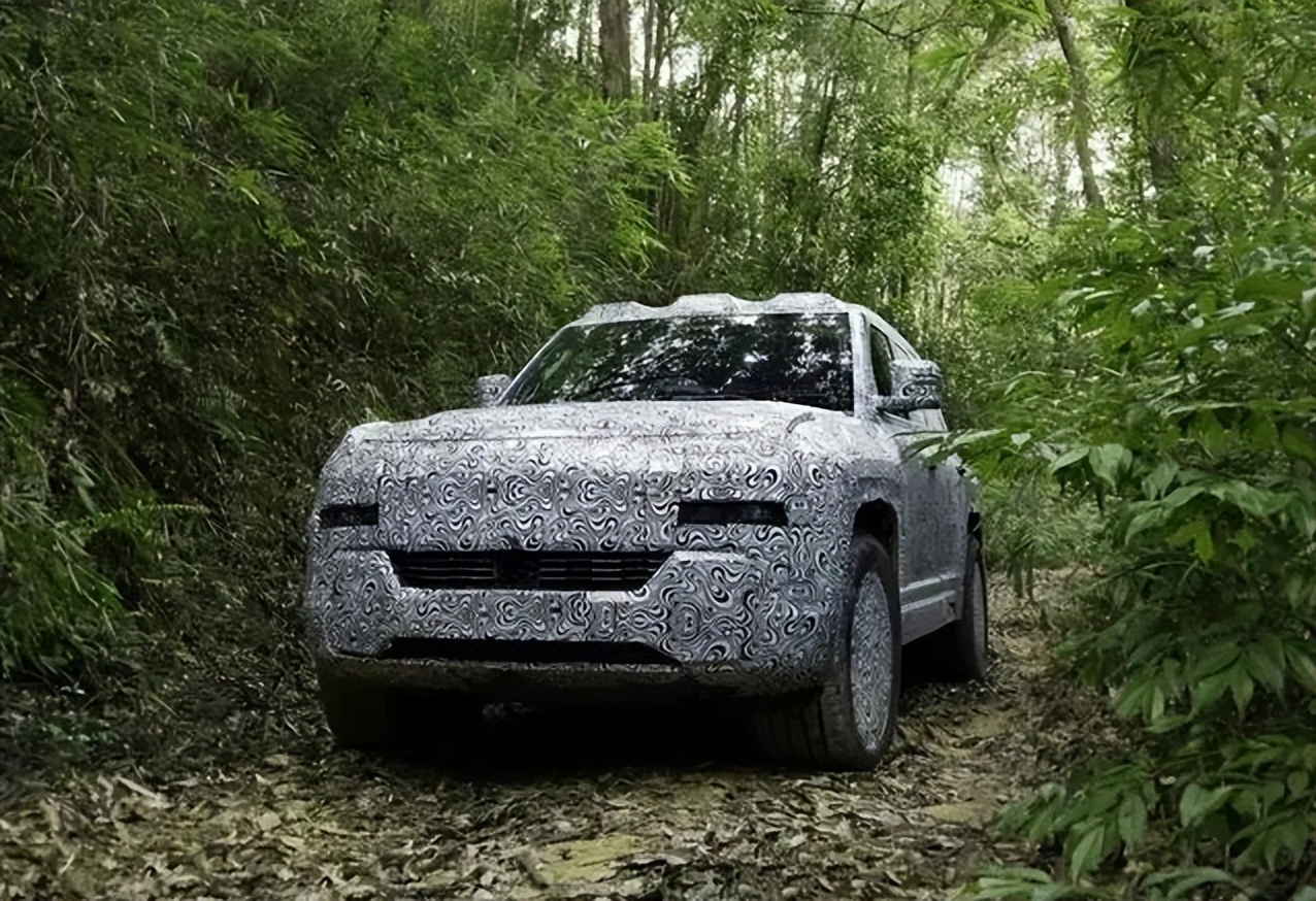 多品牌战略的利弊分析,多品牌战略的战略定位