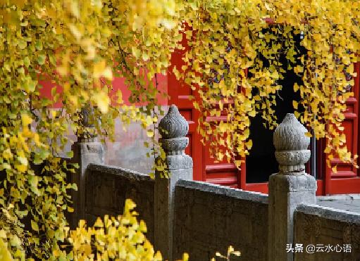 写怀才不遇的七律诗,怀才不遇壮志难酬自创律诗