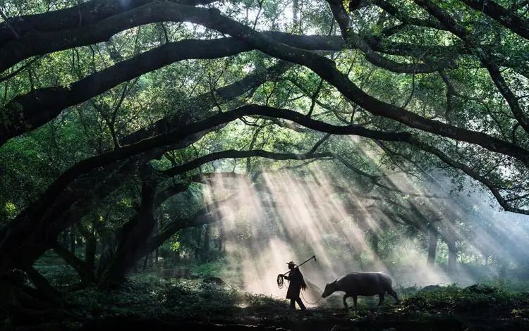 宁德摄影人的好去处,宁德摄影圣地