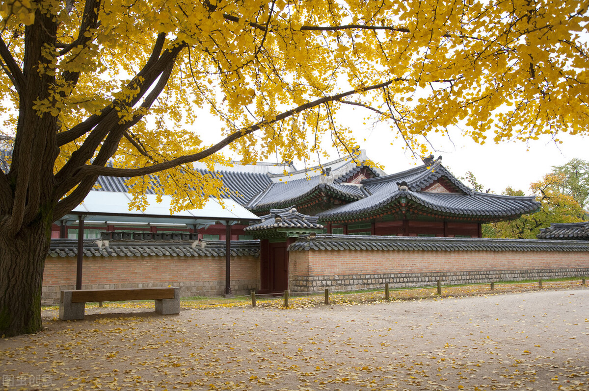 如实供述自己的犯罪行为,犯罪嫌疑人如实供述罪行可以怎样