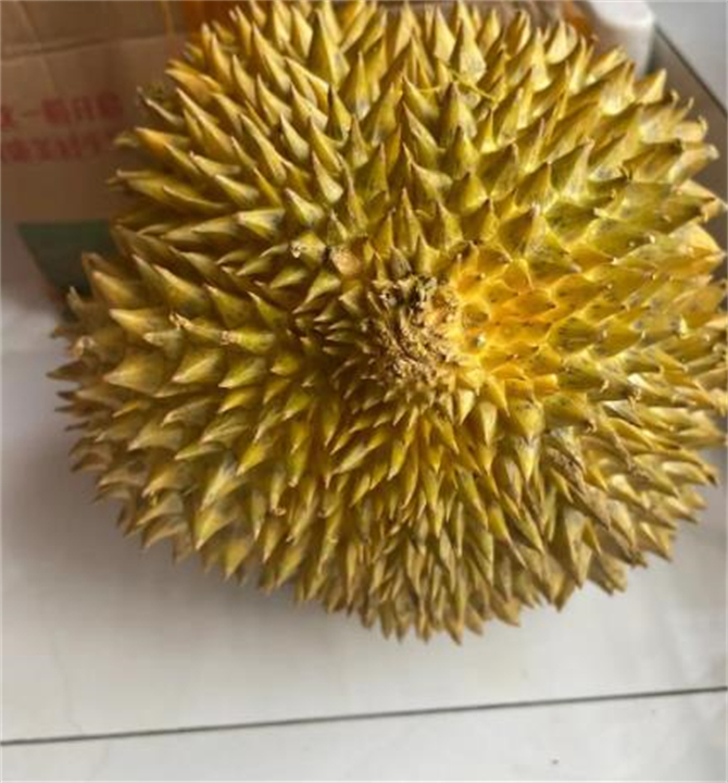 金凤壹号榴莲怎么判断生熟,榴莲怎么打开一个小口看生熟