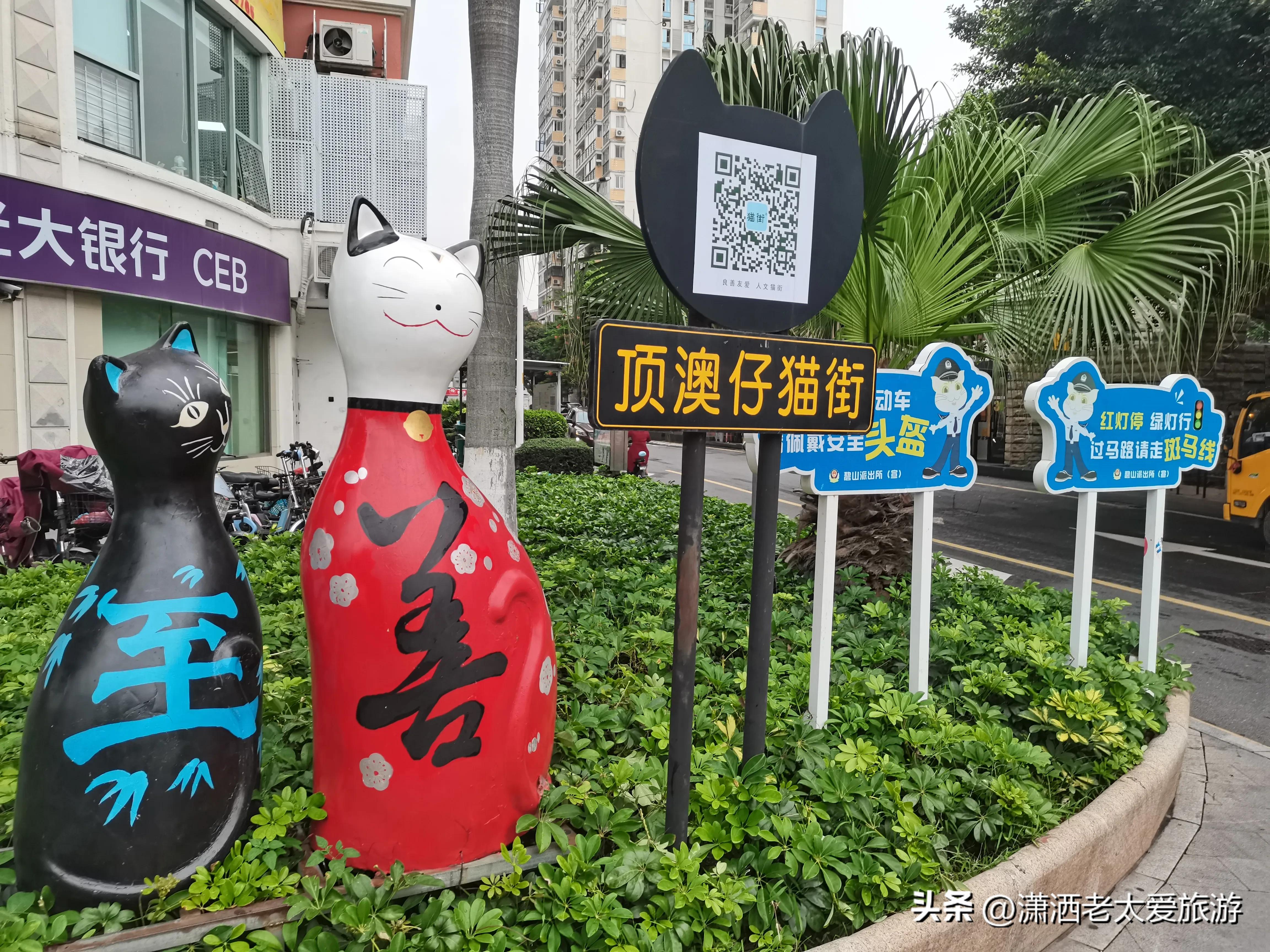 厦门3天2晚自由行1299,厦门旅游攻略3天2晚自由行2月