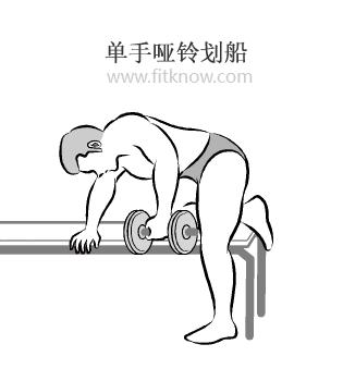 哑铃是公认的健身神器,健身基础器材哑铃