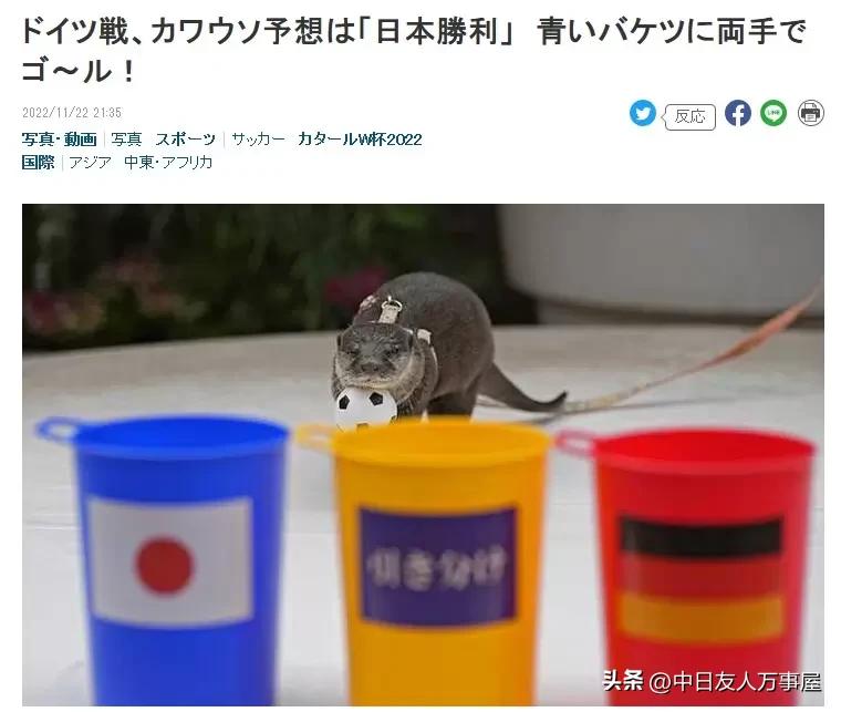 日本2-1逆转德国世界杯,日本世纪杯逆转德国