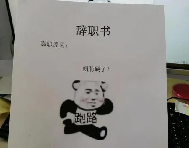 90后和00后的辞职信,00后的职场真实事件辞职信