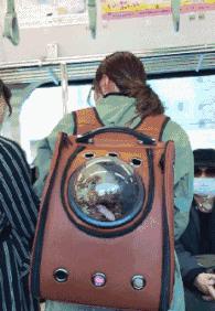 也别自作多情冬天一般朋友见面都说自己手冷真行动了还容易闹笑话