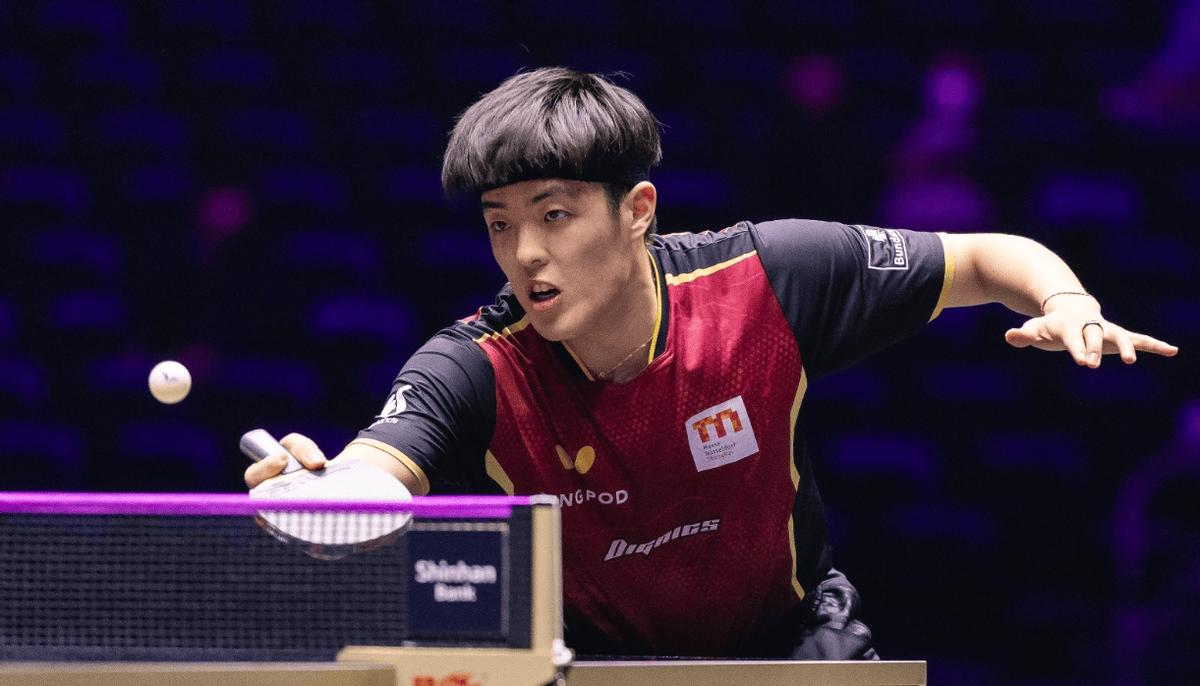 世界杯决赛故意输球,世界杯决赛惹争议