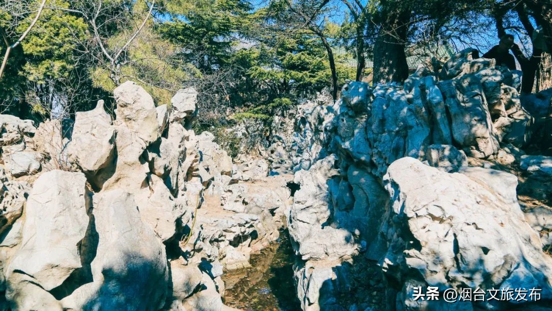 烟台值得去的公园,烟台旅游指南探索烟台最美景点