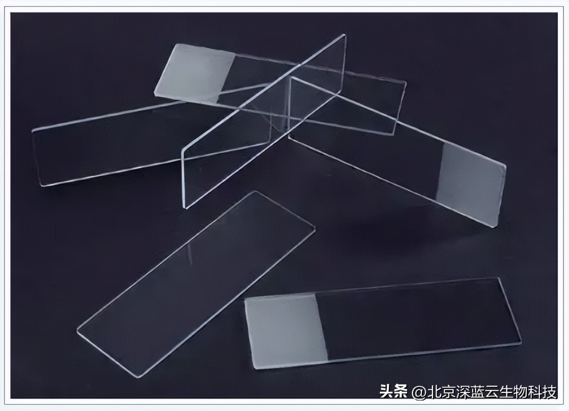 免疫荧光试验和免疫沉淀试验区别,免疫荧光显微技术是什么