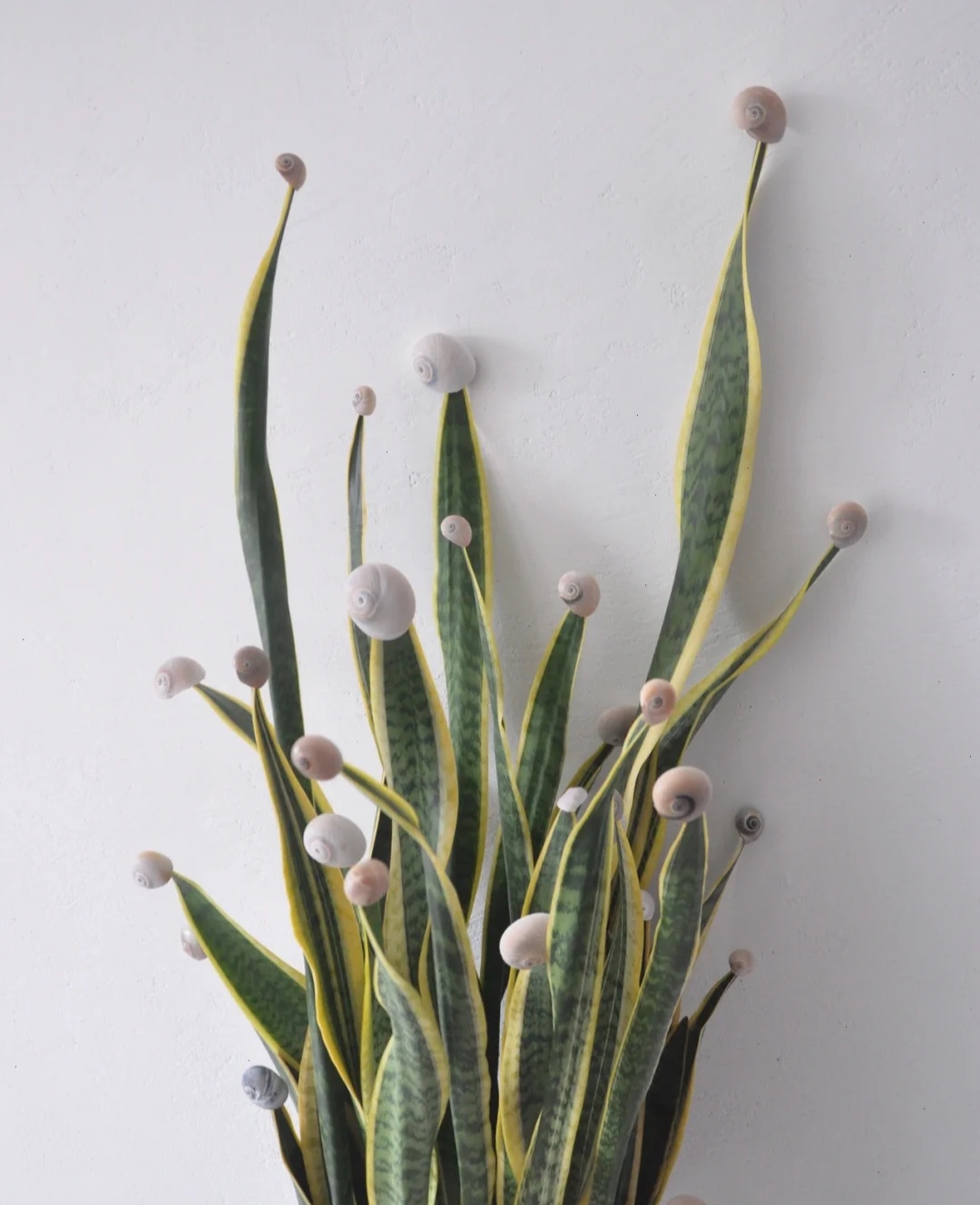 春天种的花花草草,9种花掐根枝就能活不用管就爆盆