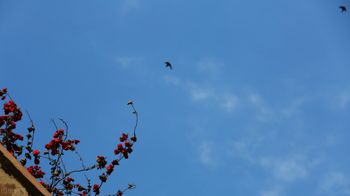 十二首非著名“雨”诗，人间的精灵，有多少浪漫和诗意，尽在其中