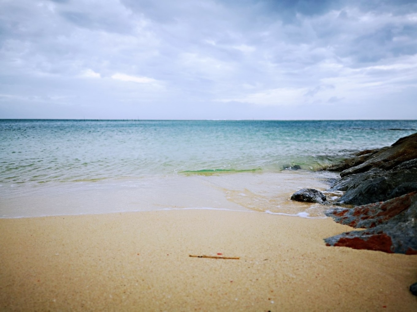 暑期档2019年,2019年暑期档