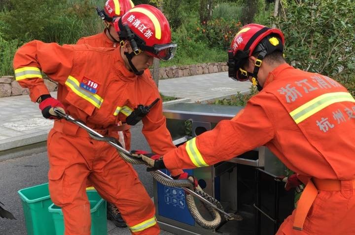 天气太热蛇被晒死,高温天气蛇会出来吗