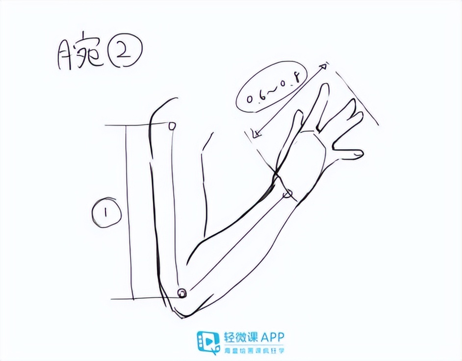 漫画手臂简单画法,如何画手臂动漫