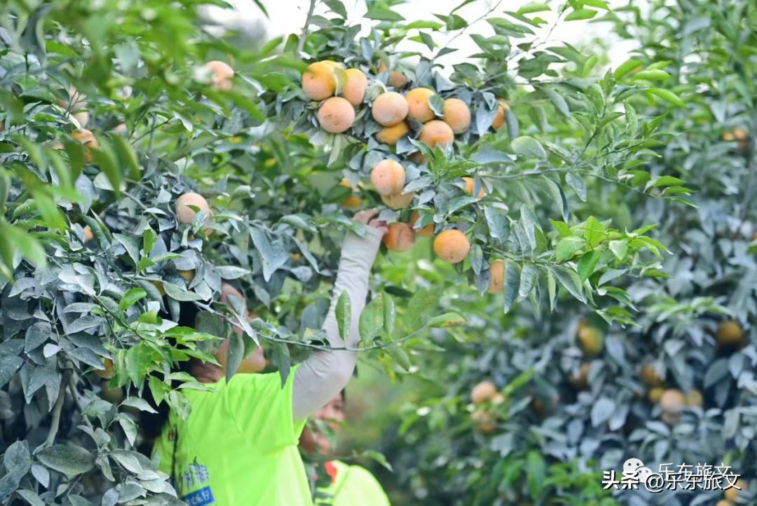 到海南乐东旅游攻略,乐东出发一日游