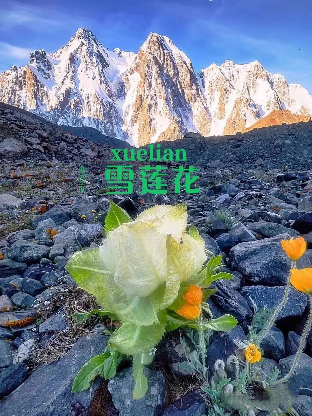 子婷祛斑,子婷祛斑怎么样