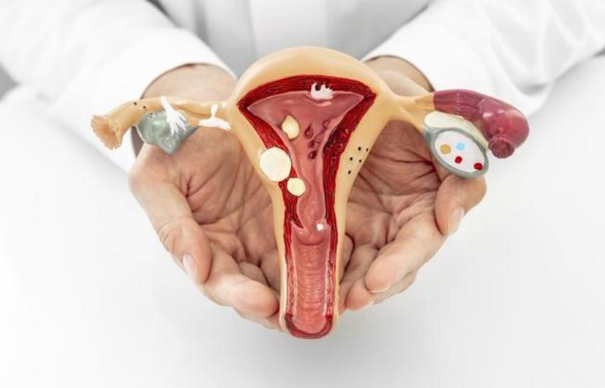 外阴处变肥大怎么回事,女外阴肥大有什么影响