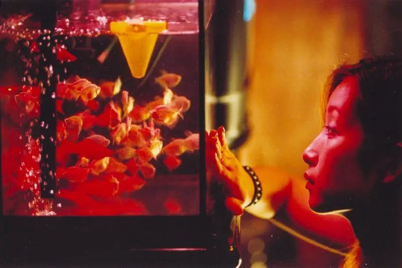 闈犲濮荤淮鎸佺粡娴庣敓娲荤殑濂充汉,闈犲濂崇淮鎸佺敓璁$殑鍥藉