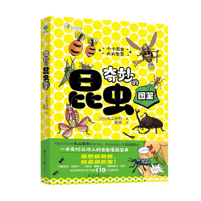 昆虫世界各种昆虫,走进奇妙的昆虫世界