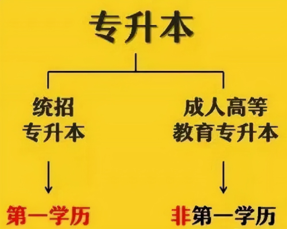 专升本后的真实现状,专升本的含金量张雪峰