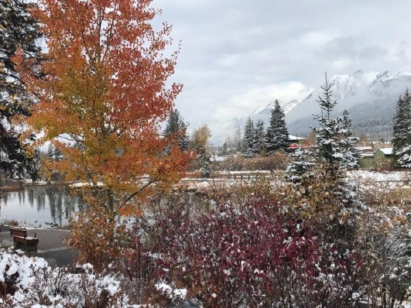 销量下降的对策,销量下降卖什么好