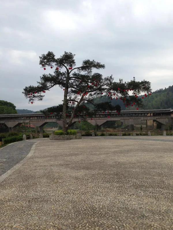 水乡廊桥,行走江南水乡