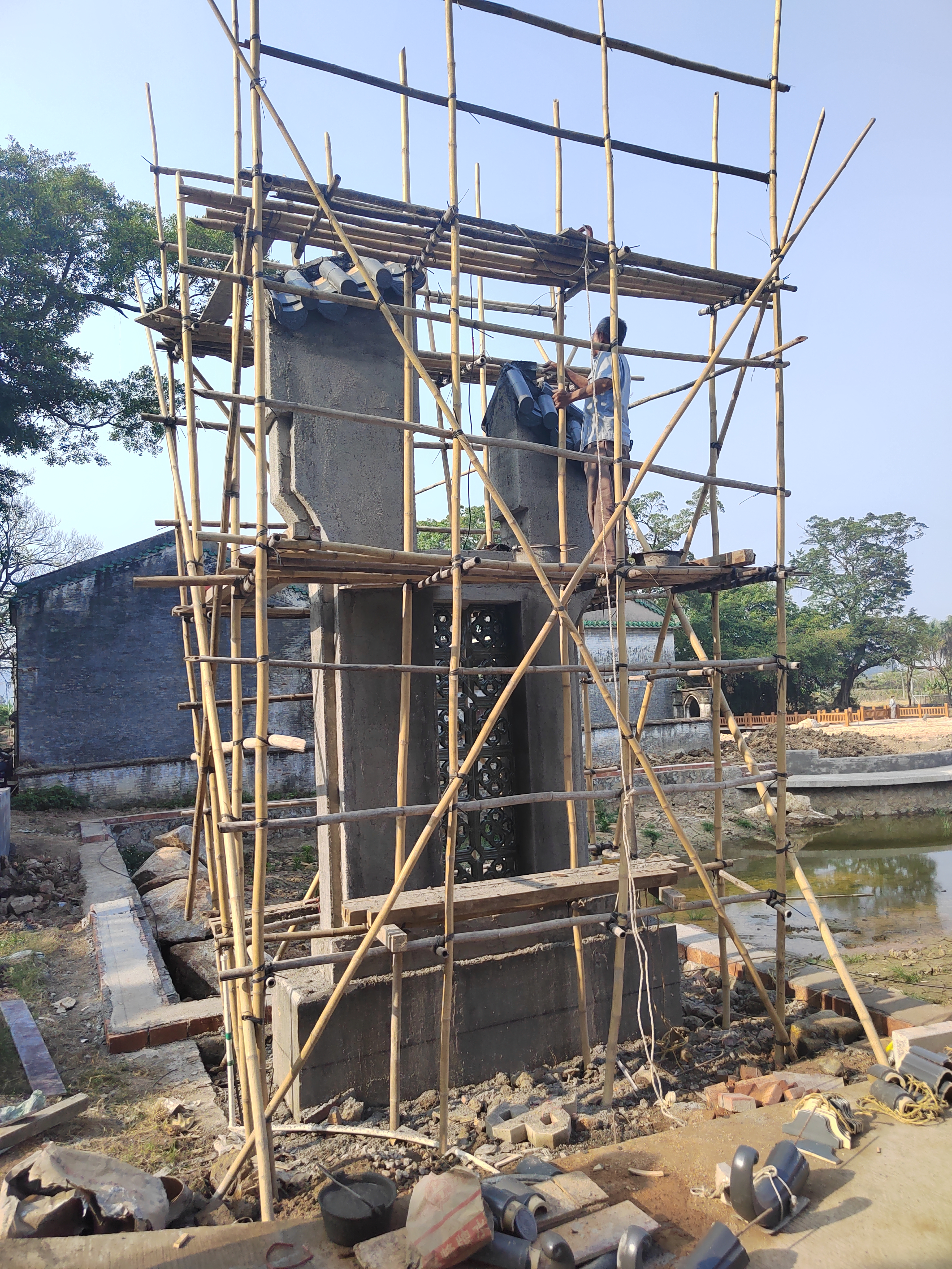 江门新会旅游景点小鸟的天堂,新会小鸟天堂历史记录