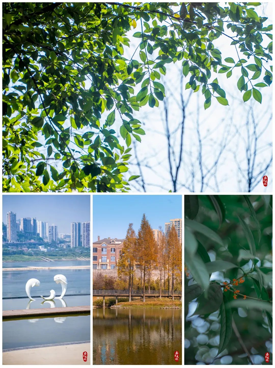 邂逅南岸的100个瞬间,推荐一个好地方南岸公园