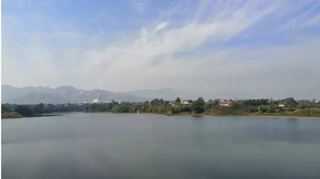 富平县粮食补贴,2022富平县粮食收购价