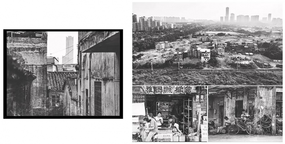 东莞中心公园“森之空间”