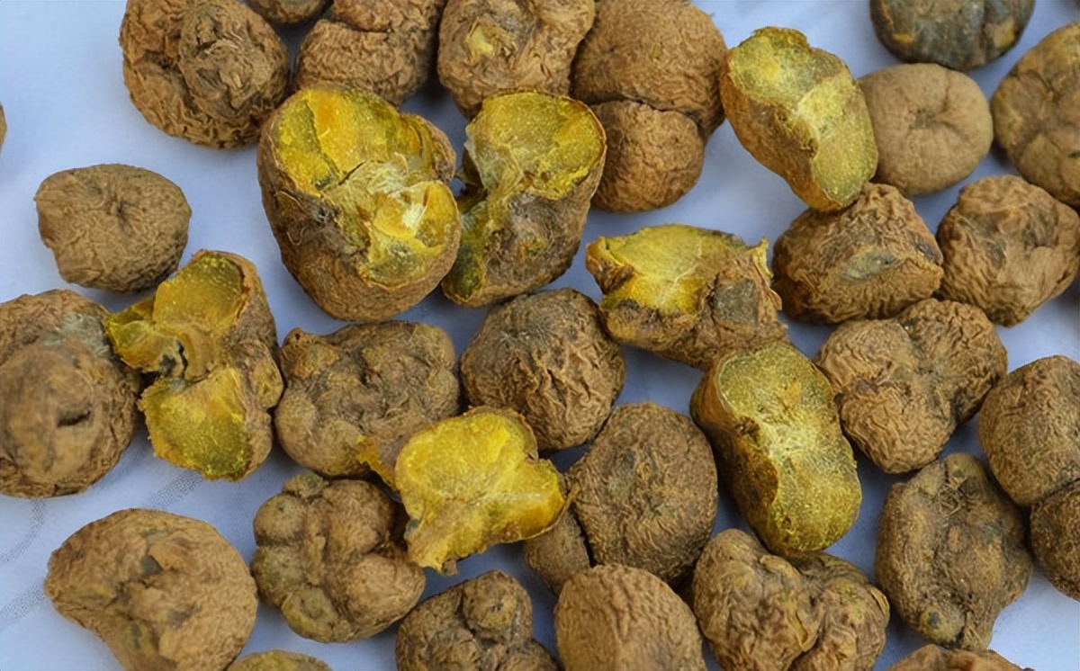 内膜薄就是肾血“供不上”，一张苗族秘方四味药，帮你养出好内膜