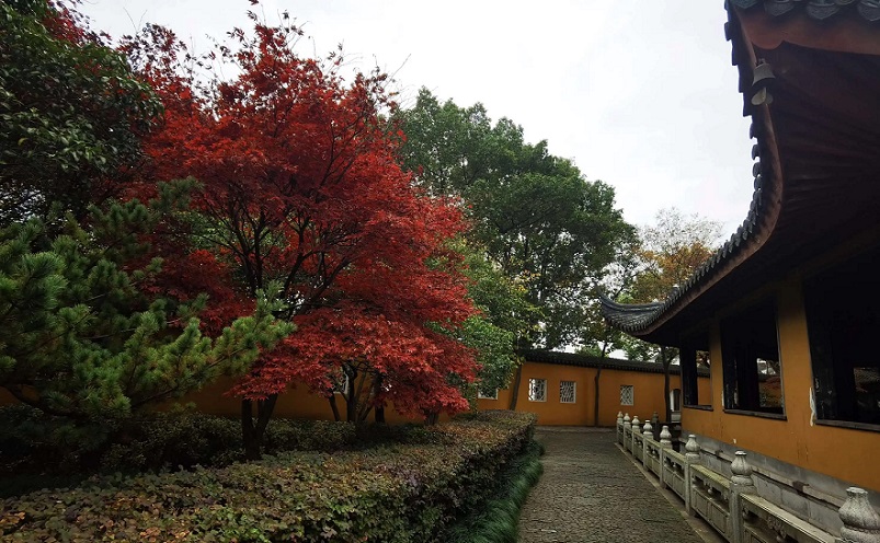 苏州十大旅游必去景点有哪些,苏州十大旅游必去景点排名