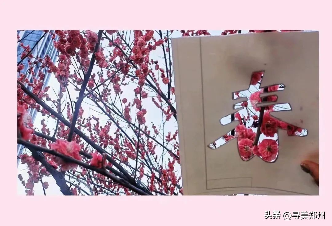 河南科技大学春景,河南科技职业大学校园春景