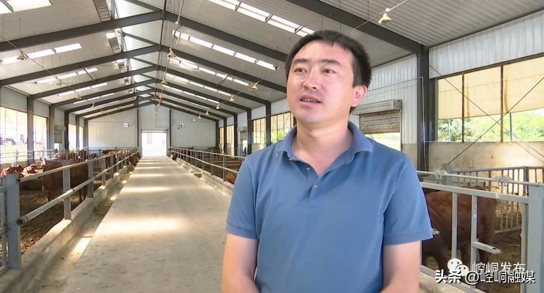 “我们这十年”丨崆峒：“畜”势勃发“牧”歌欢唱