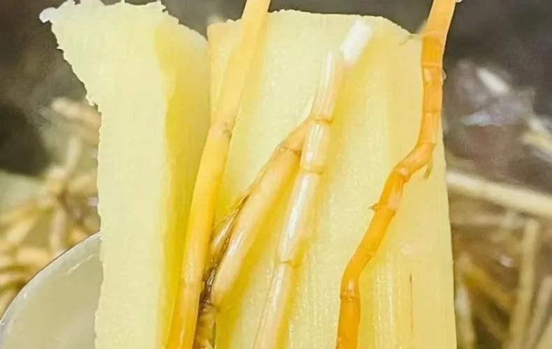 羊了之后咳嗽有痰吃什么效果最好,羊了嗓子痒咳嗽吃什么消炎药