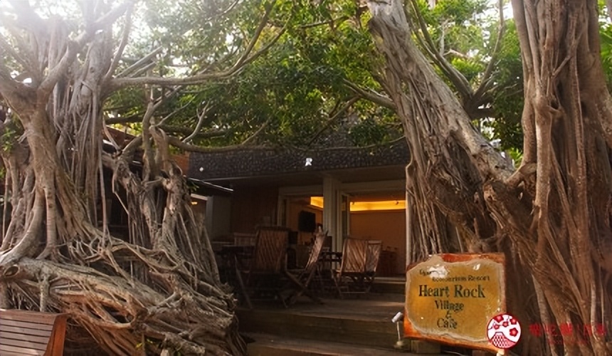 小笠原群岛旅游攻略,日本小笠原诸岛游记