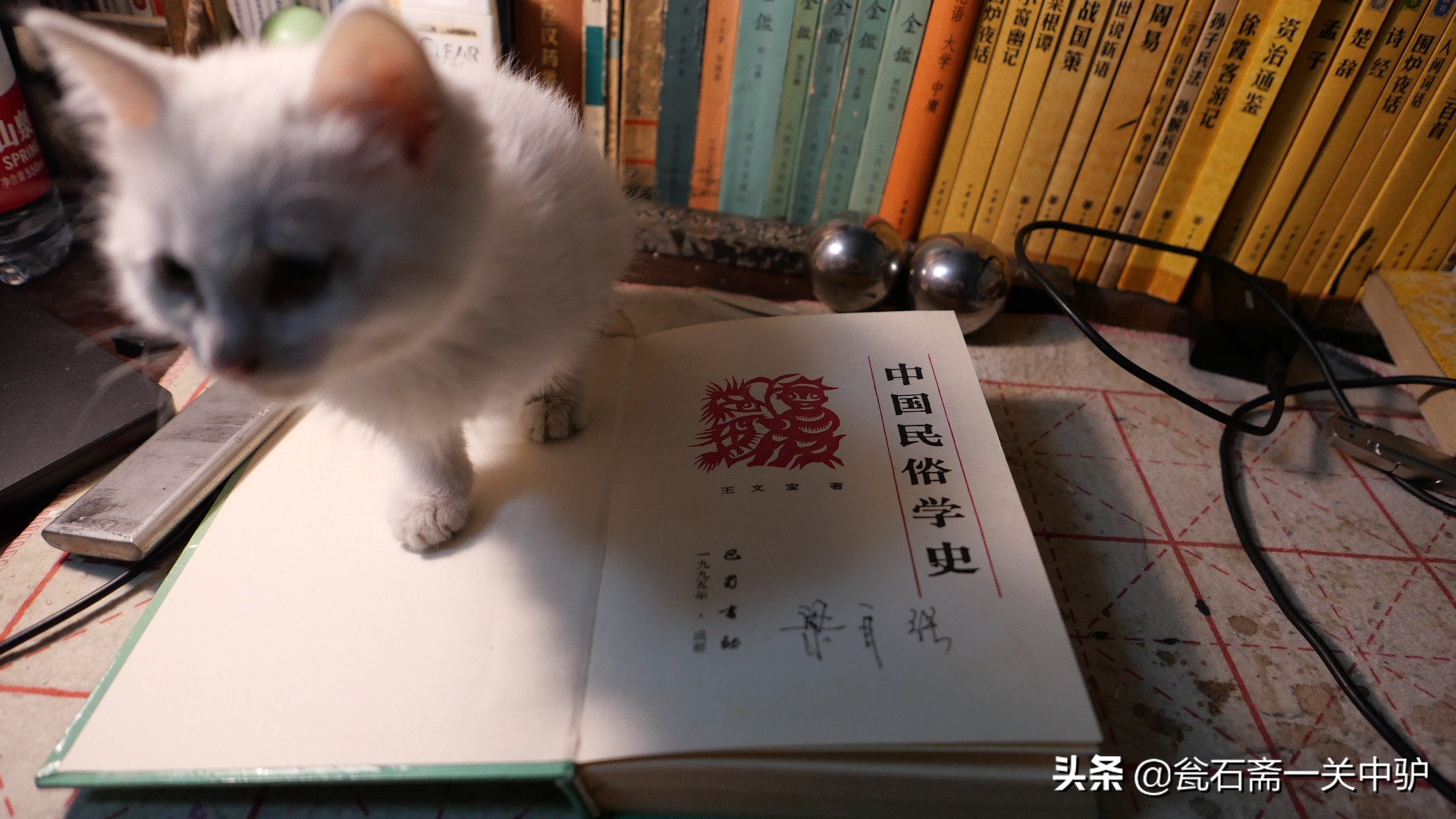 中国民俗学史,通读中国历史需要选哪本书