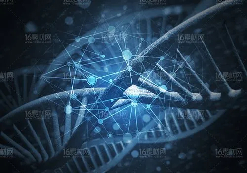 小米智能工厂5000名工程师,参与小米芯片设计的人员