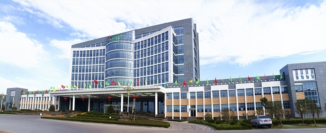 2019年企业500强金锣排名,金锣是500强吗