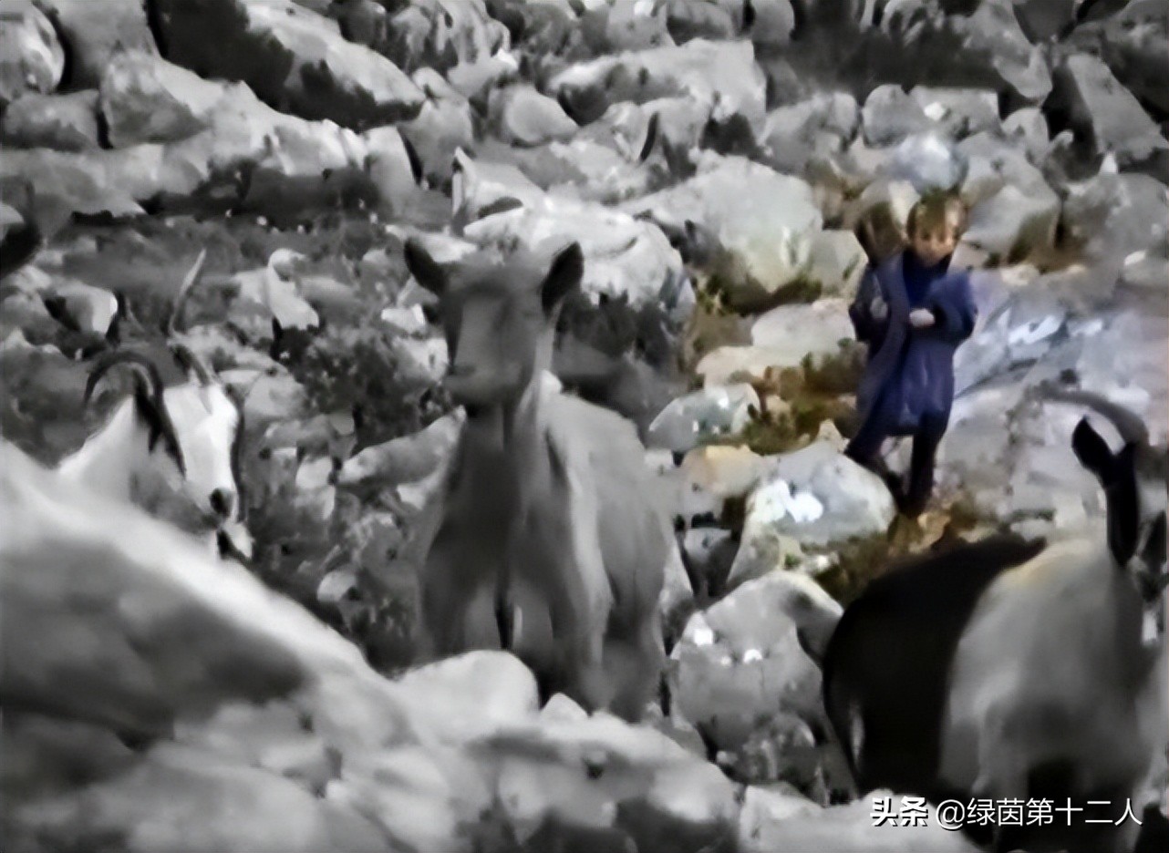 37岁的莫德里奇依旧全力奔跑,37岁莫德里奇宝刀未老